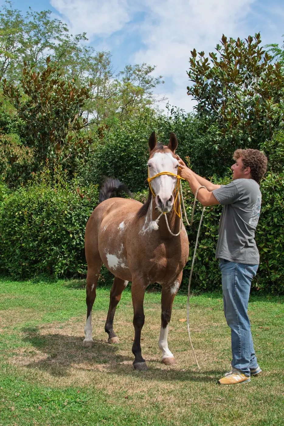 Cavallo condotto a mano all’Az. Agricola Il Cerreto