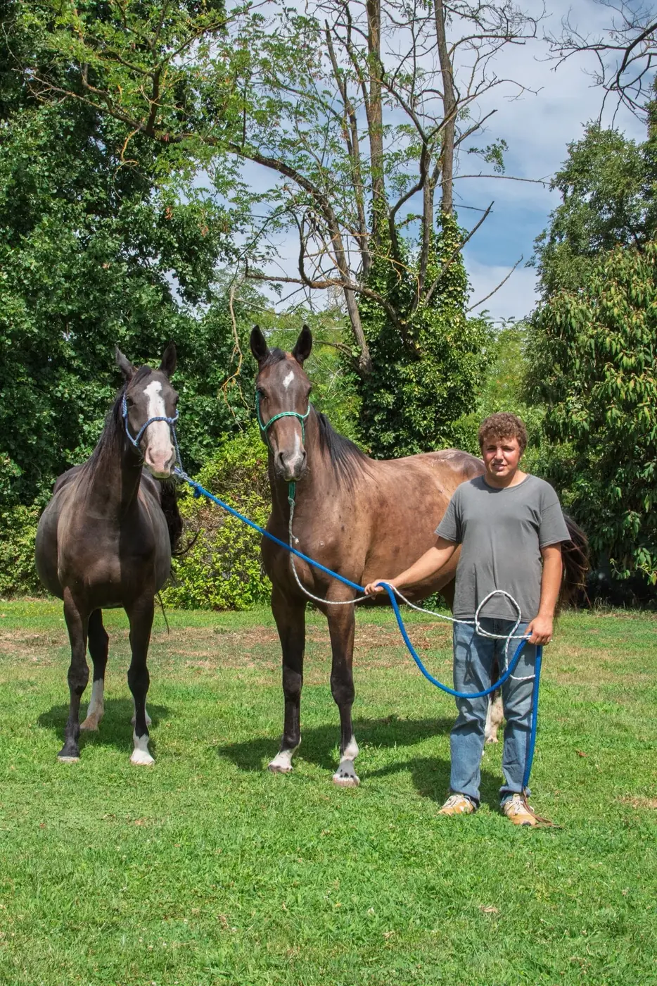 Cavallo condotto a mano all’Az. Agricola Il Cerreto